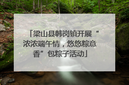 梁山县韩岗镇开展“浓浓端午情，悠悠粽意香”包粽子活动