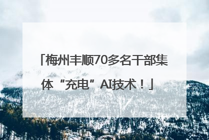 梅州丰顺70多名干部集体“充电”AI技术！