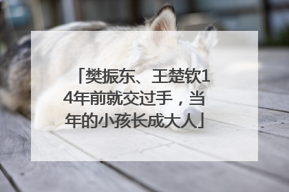 樊振东、王楚钦14年前就交过手，当年的小孩长成大人