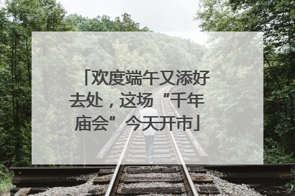 欢度端午又添好去处，这场“千年庙会”今天开市