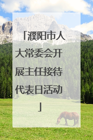 濮阳市人大常委会开展主任接待代表日活动