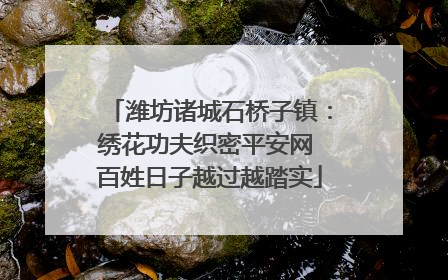 潍坊诸城石桥子镇：绣花功夫织密平安网 百姓日子越过越踏实