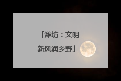 潍坊：文明新风润乡野