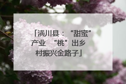 潢川县：“甜蜜”产业  “桃”出乡村振兴金路子