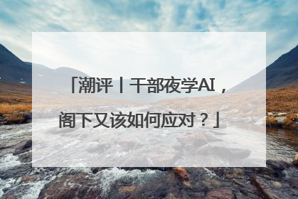 潮评丨干部夜学AI，阁下又该如何应对？