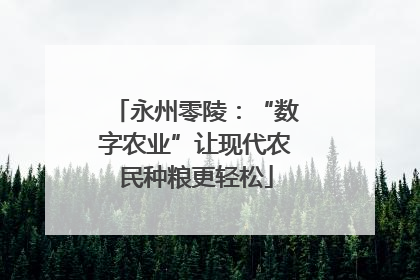 永州零陵：“数字农业”让现代农民种粮更轻松