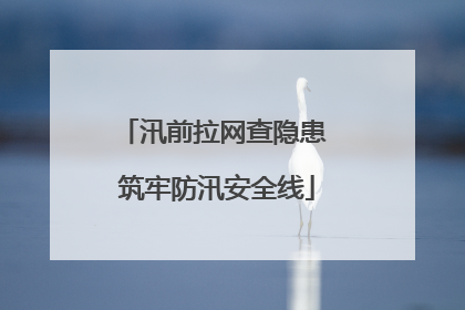 汛前拉网查隐患 筑牢防汛安全线