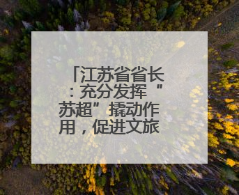 江苏省省长：充分发挥“苏超”撬动作用，促进文旅体商融合