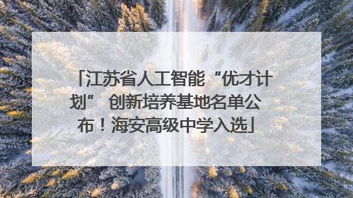 江苏省人工智能“优才计划” 创新培养基地名单公布！海安高级中学入选