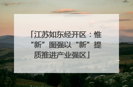 江苏如东经开区：惟“新”图强以“新”提质推进产业强区