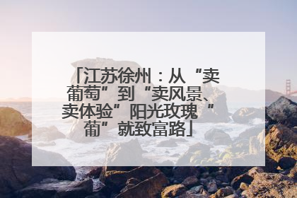 江苏徐州：从“卖葡萄”到“卖风景、卖体验”阳光玫瑰“葡”就致富路