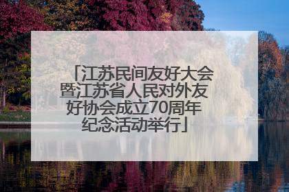 江苏民间友好大会暨江苏省人民对外友好协会成立70周年纪念活动举行