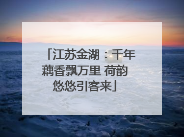 江苏金湖：千年藕香飘万里 荷韵悠悠引客来