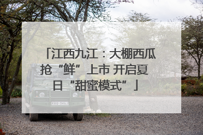 江西九江：大棚西瓜抢“鲜”上市 开启夏日“甜蜜模式”