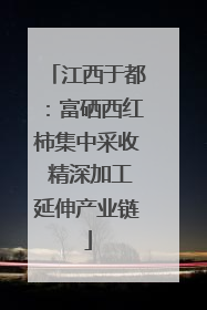 江西于都：富硒西红柿集中采收 精深加工延伸产业链