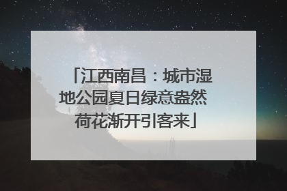 江西南昌：城市湿地公园夏日绿意盎然 荷花渐开引客来