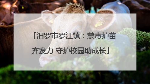 汨罗市罗江镇：禁毒护苗齐发力 守护校园助成长