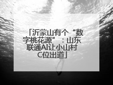 沂蒙山有个“数字桃花源”：山东联通AI让小山村C位出道