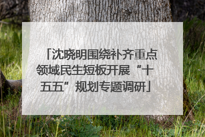 沈晓明围绕补齐重点领域民生短板开展“十五五”规划专题调研