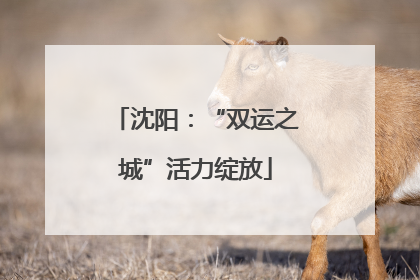 沈阳：“双运之城”活力绽放