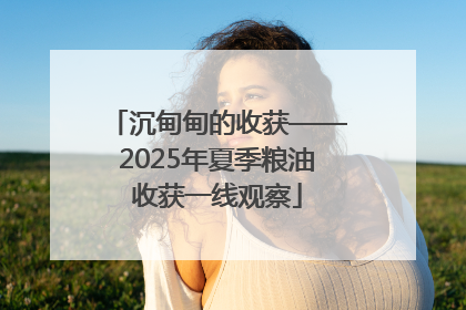 沉甸甸的收获——2025年夏季粮油收获一线观察