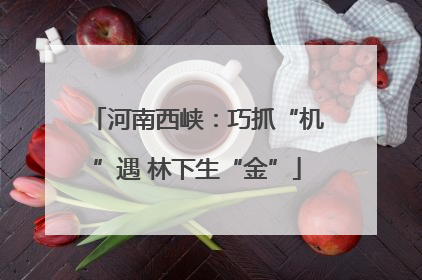 河南西峡：巧抓“机”遇 林下生“金”