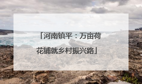河南镇平：万亩荷花铺就乡村振兴路
