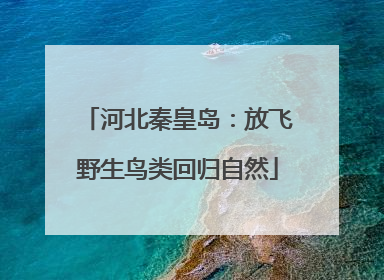 河北秦皇岛：放飞野生鸟类回归自然