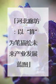 河北廊坊：以“算”为笔描绘未来产业发展蓝图