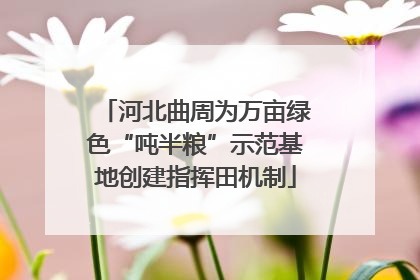 河北曲周为万亩绿色“吨半粮”示范基地创建指挥田机制
