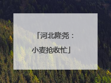 河北隆尧：小麦抢收忙