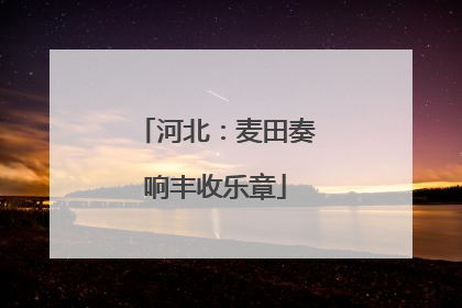 河北：麦田奏响丰收乐章