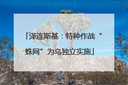 泽连斯基：特种作战“蛛网”为乌独立实施