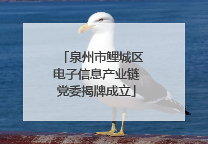 泉州市鲤城区电子信息产业链党委揭牌成立