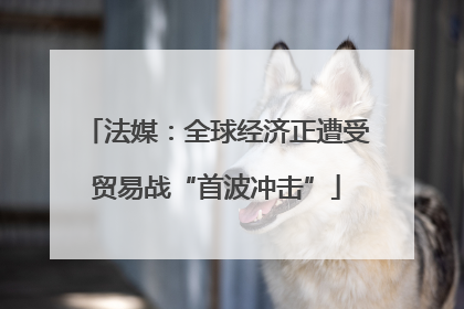 法媒：全球经济正遭受贸易战“首波冲击”