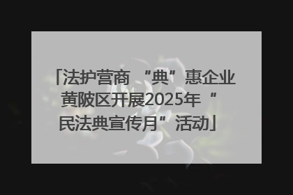 法护营商 “典”惠企业 黄陂区开展2025年“民法典宣传月”活动