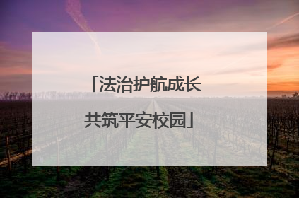法治护航成长 共筑平安校园