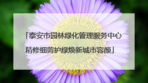 泰安市园林绿化管理服务中心精修细剪护绿焕新城市容颜