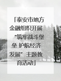 泰安市地方金融组织开展“筑牢战斗堡垒 护航经济发展”主题教育活动