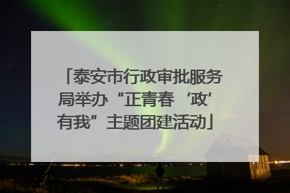 泰安市行政审批服务局举办“正青春‘政’有我”主题团建活动