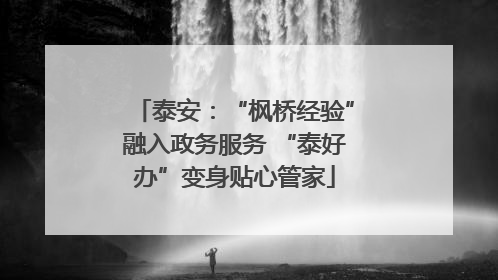 泰安：“枫桥经验”融入政务服务 “泰好办”变身贴心管家