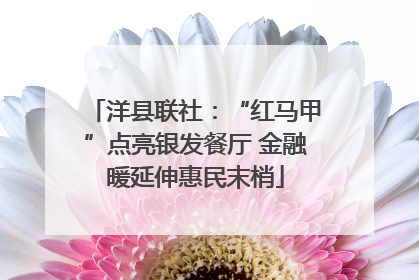 洋县联社：“红马甲”点亮银发餐厅 金融暖延伸惠民末梢