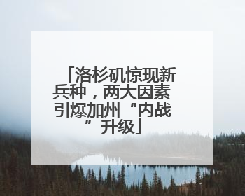 洛杉矶惊现新兵种，两大因素引爆加州“内战”升级