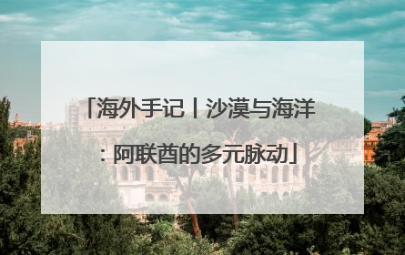 海外手记丨沙漠与海洋：阿联酋的多元脉动