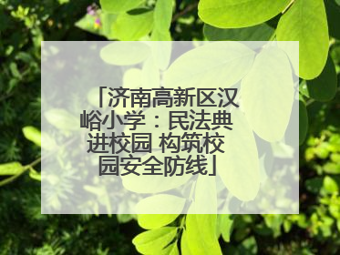 济南高新区汉峪小学：民法典进校园 构筑校园安全防线