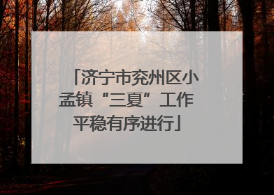 济宁市兖州区小孟镇“三夏”工作平稳有序进行