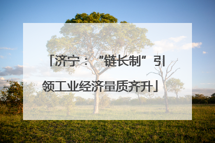 济宁：“链长制”引领工业经济量质齐升
