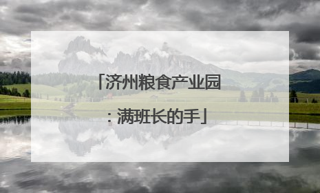 济州粮食产业园：满班长的手