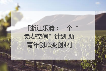 浙江乐清：一个“免费空间”计划 助青年创意变创业