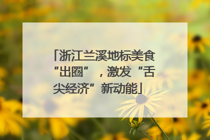 浙江兰溪地标美食“出圈”，激发“舌尖经济”新动能